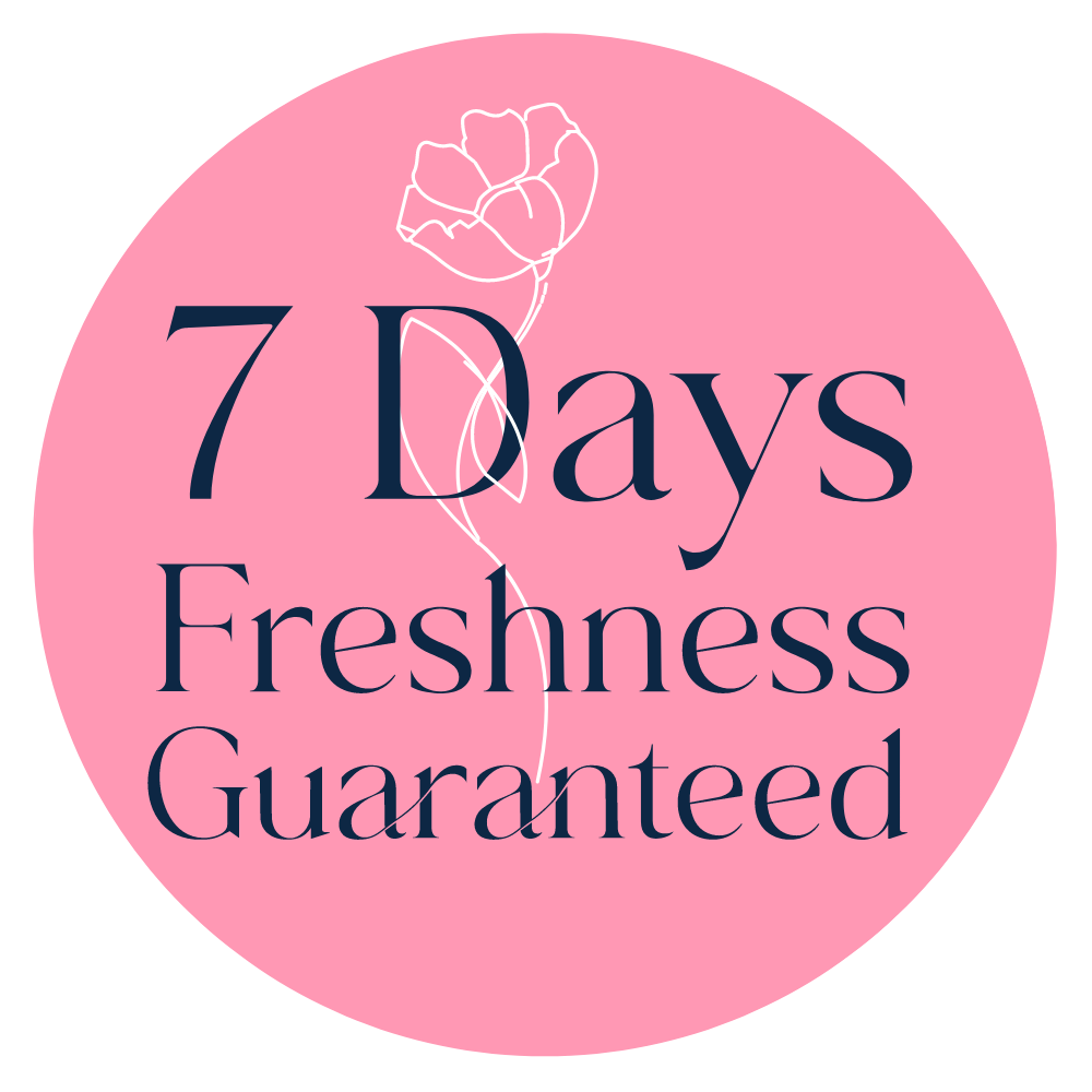 freshness_v2.png
